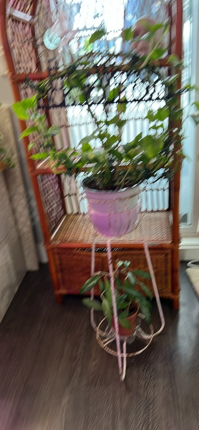 Vintage 1950s Atomic "Tulip" Wrought Iron Plant Stand. - photo 2