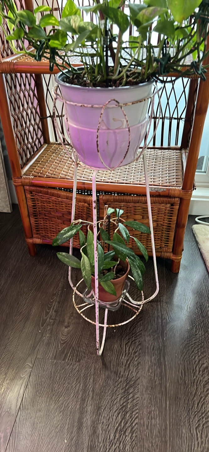 Vintage 1950s Atomic "Tulip" Wrought Iron Plant Stand.