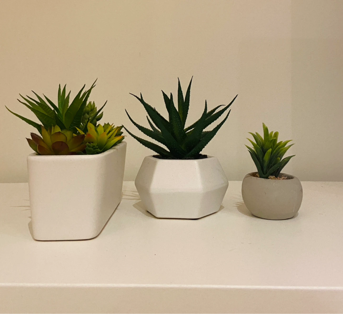 Set of 3 Artificial Succulents in Pots