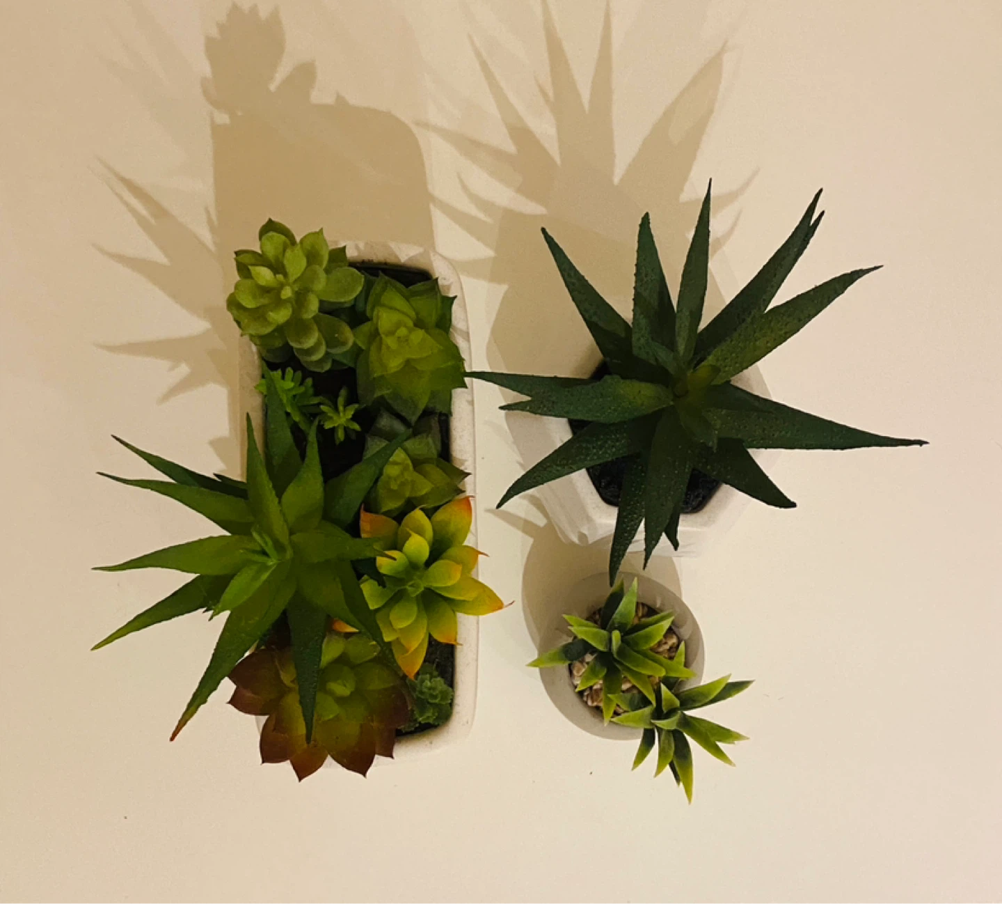 Set of 3 Artificial Succulents in Pots - photo 2