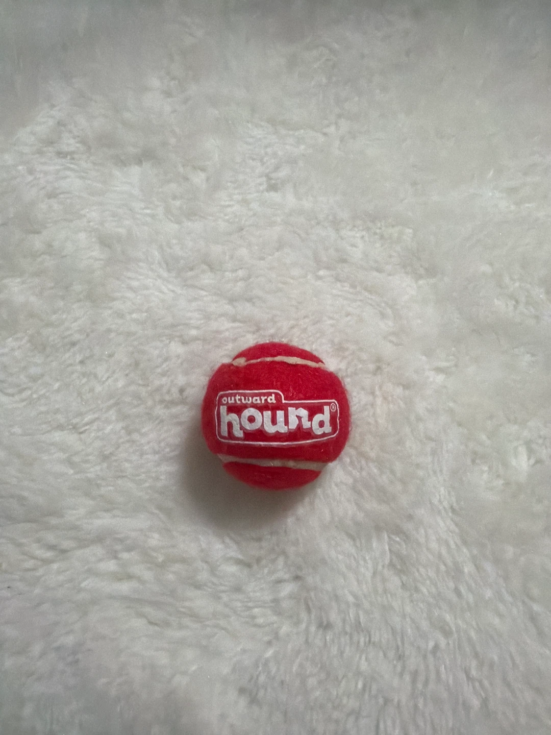 Outward Hound Red Dog Toy Ball