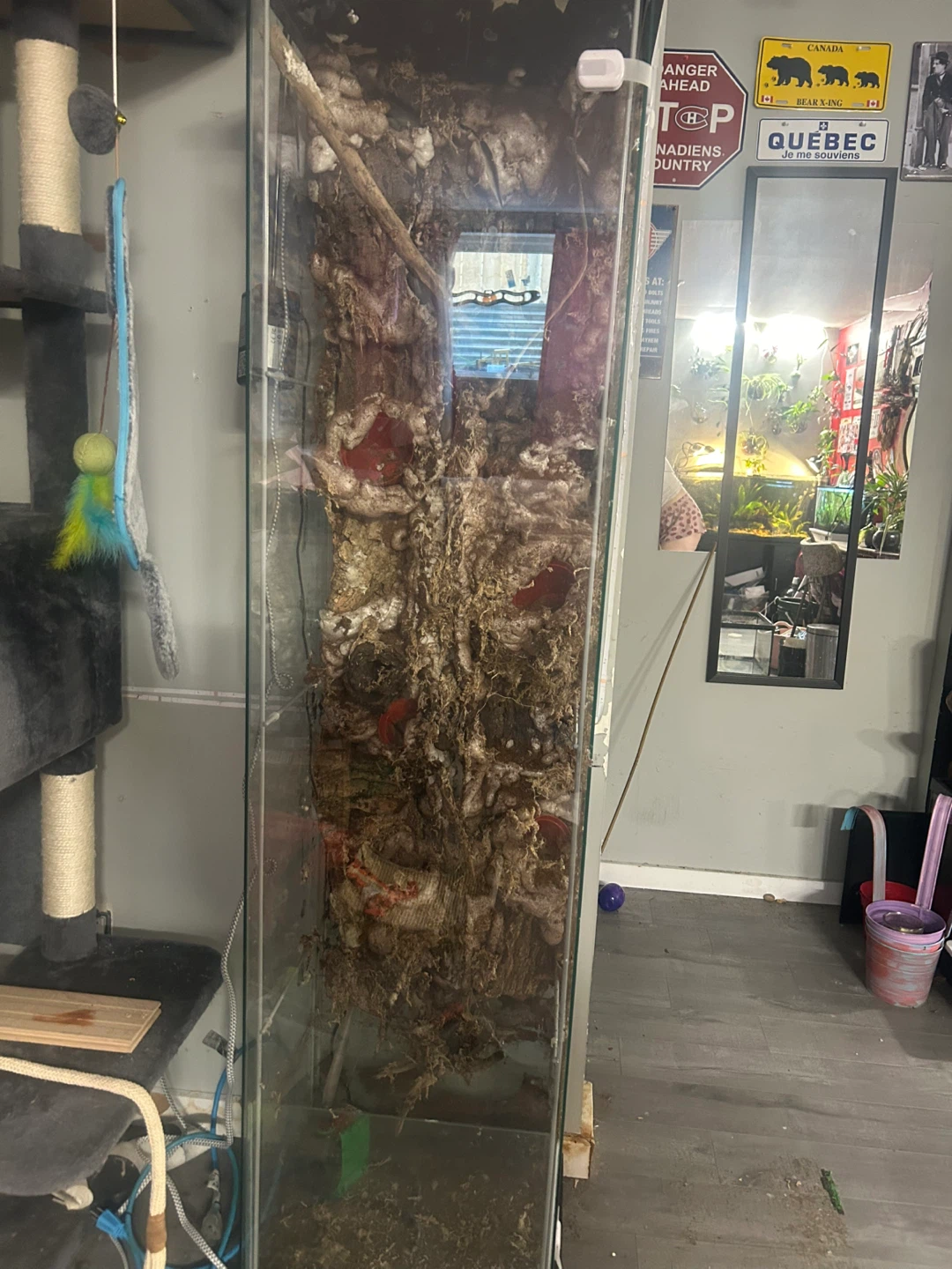 6ft tall paludarium