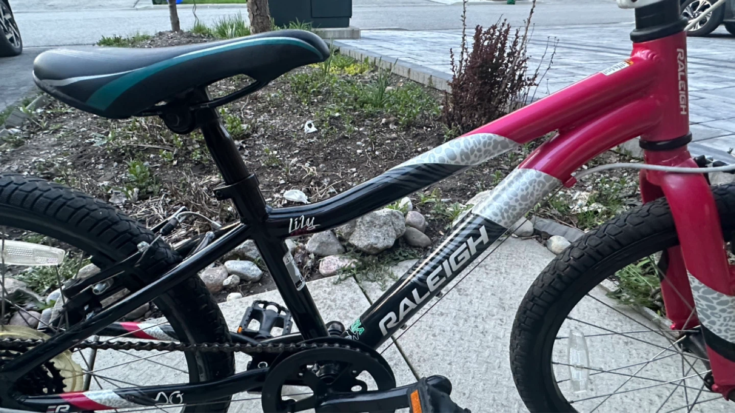 20” Raleigh Lily Kids' Bike - Pink - photo 3