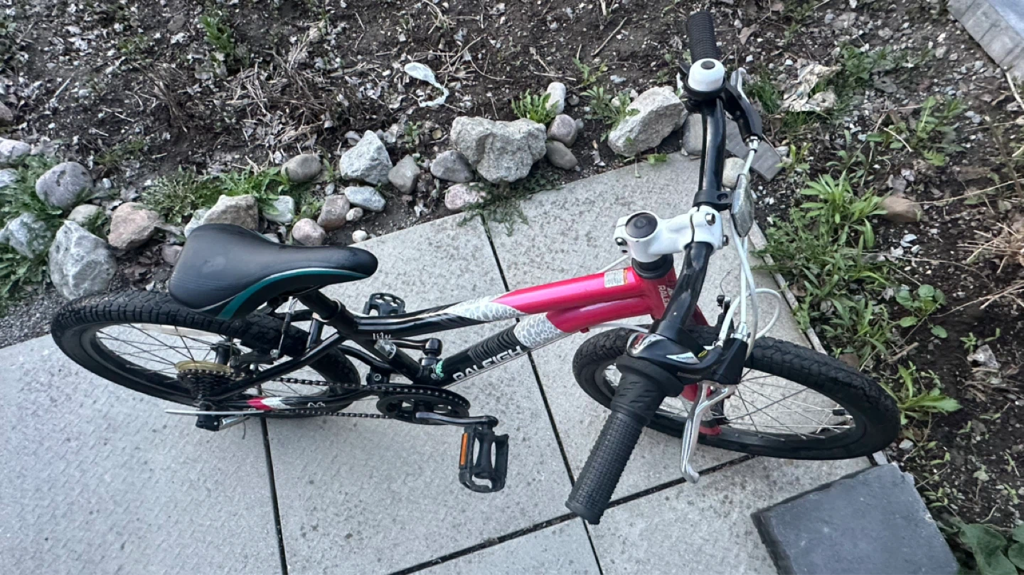 20” Raleigh Lily Kids' Bike - Pink - photo 5