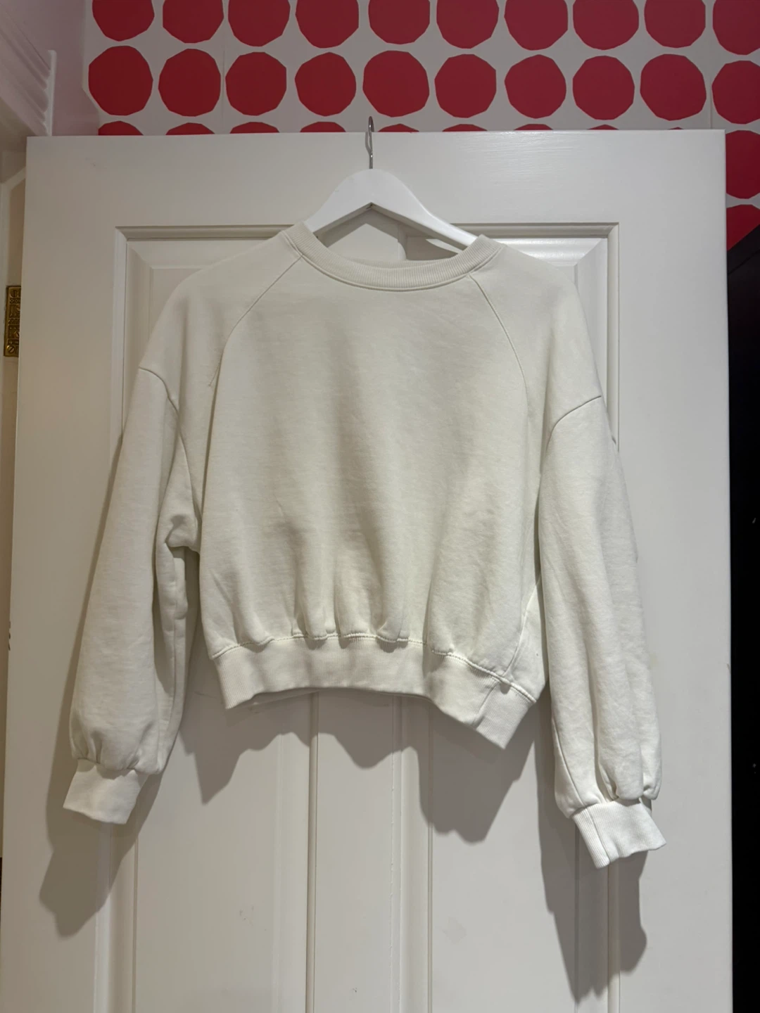Zara Cropped Sweatshirt