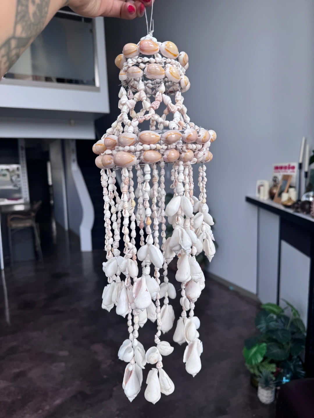 Seashell hanging