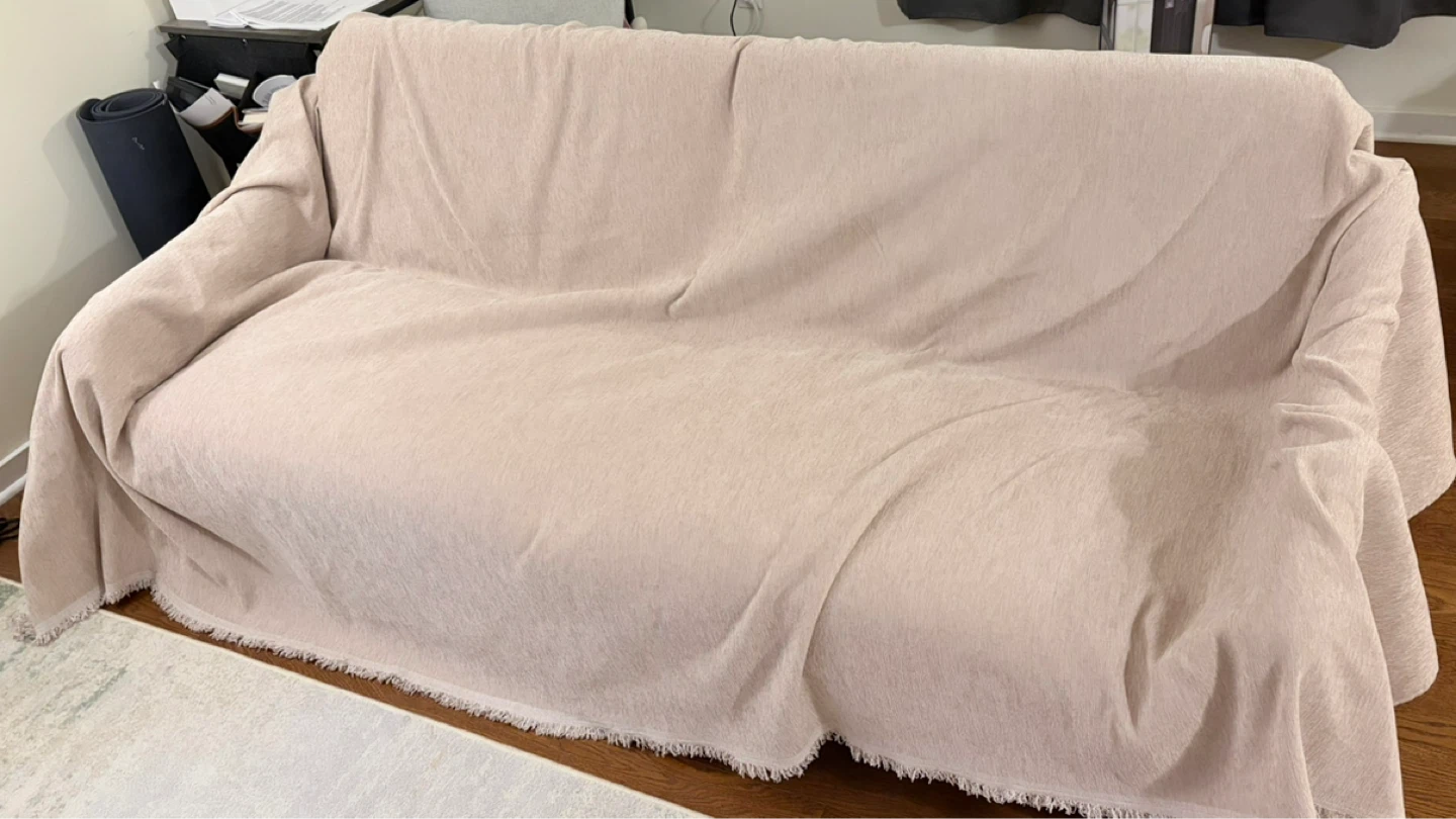 [Moving Sale] Large Gray Sofa Bed / Sleeper Sofa (free cover) - photo 5