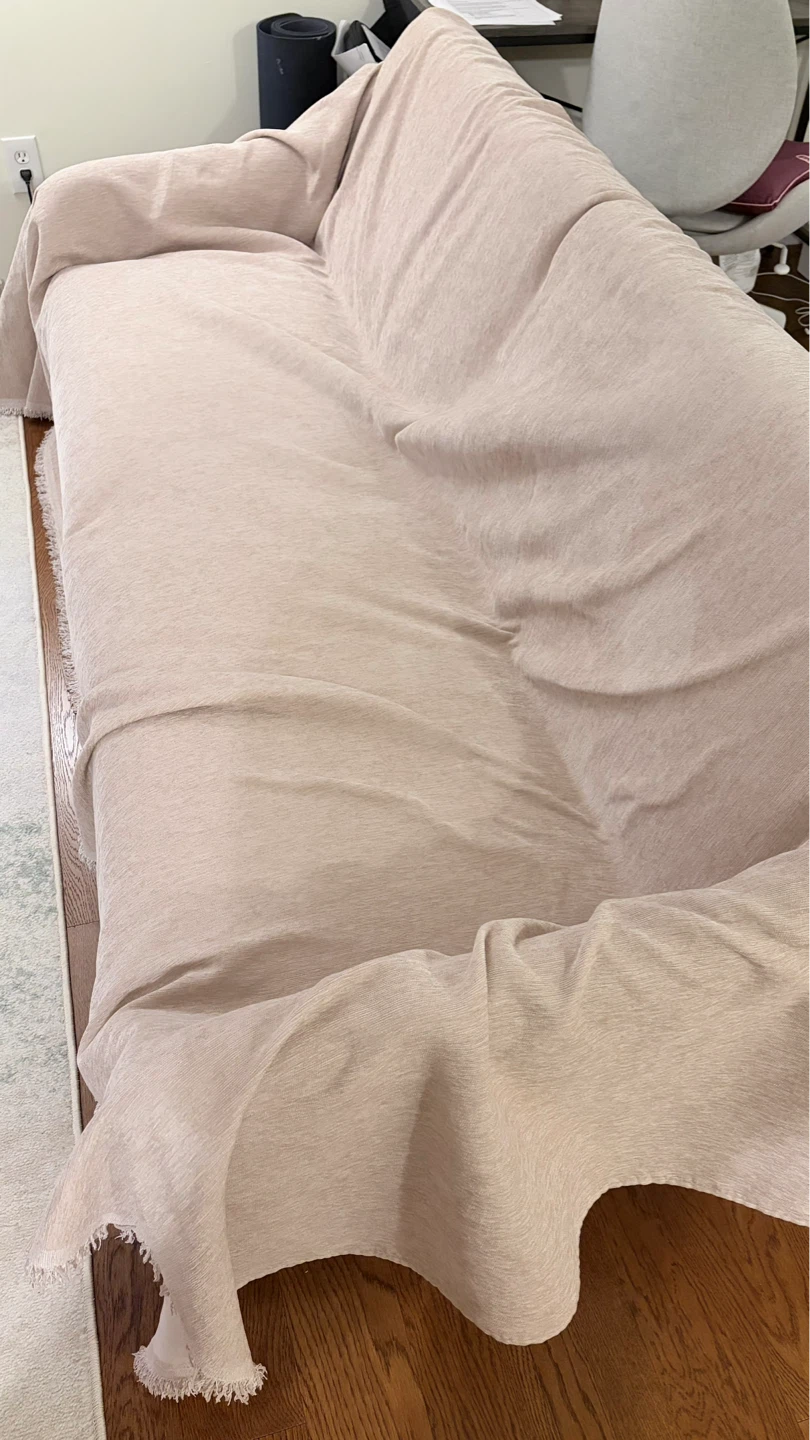 [Moving Sale] Large Gray Sofa Bed / Sleeper Sofa (free cover) - photo 4