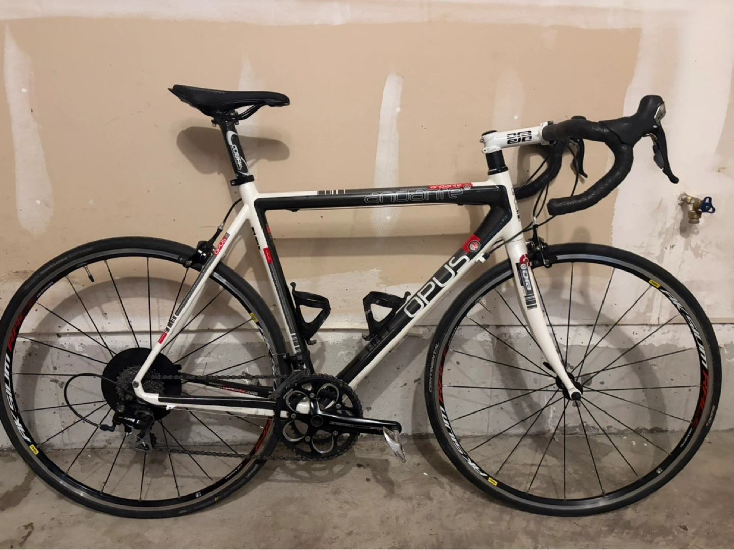 Opus Andante Carbon Road Bike