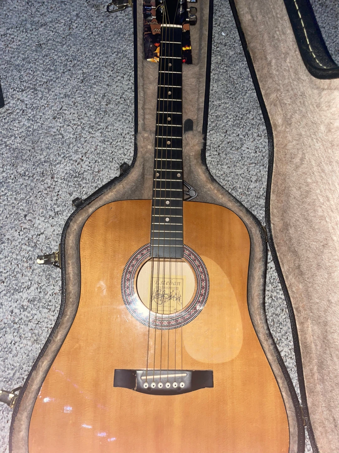 Esteban Steel String Guitar with Case and Accessories