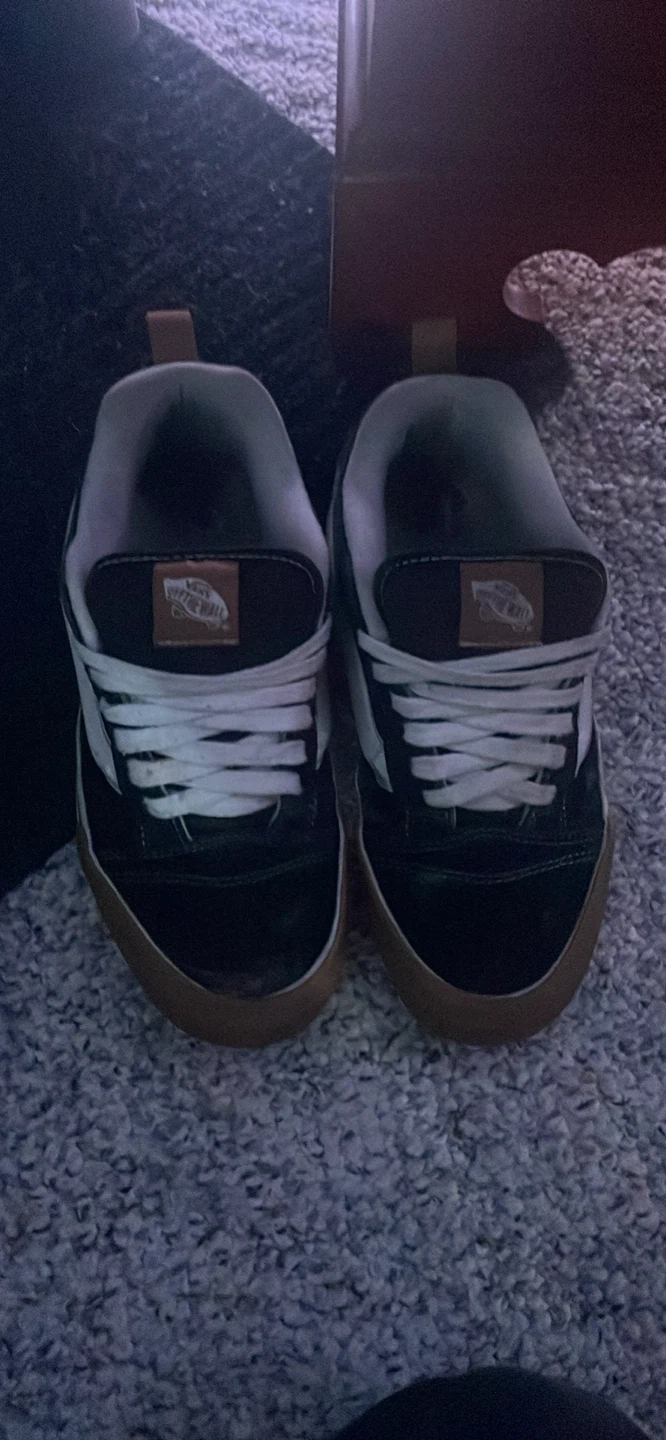 Vans Skate Shoes