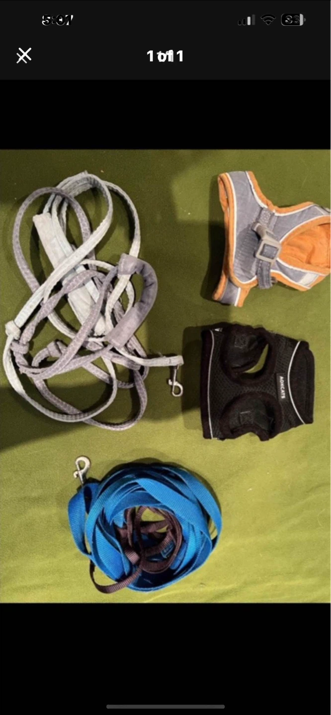 Pet Leashes and Harnesses Set