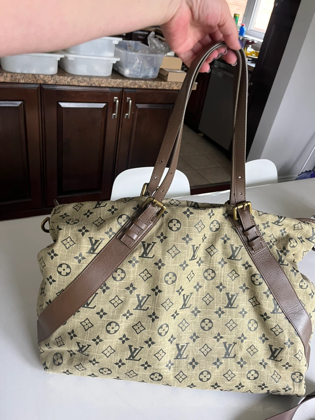 Louis Vuitton Monogram Canvas Speedy Bag