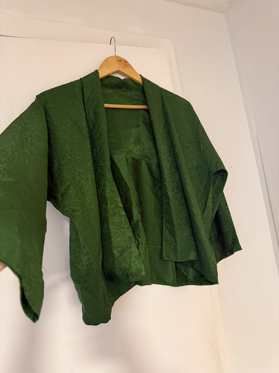Pure silk green kimono style cardigan( sherpa blouse)