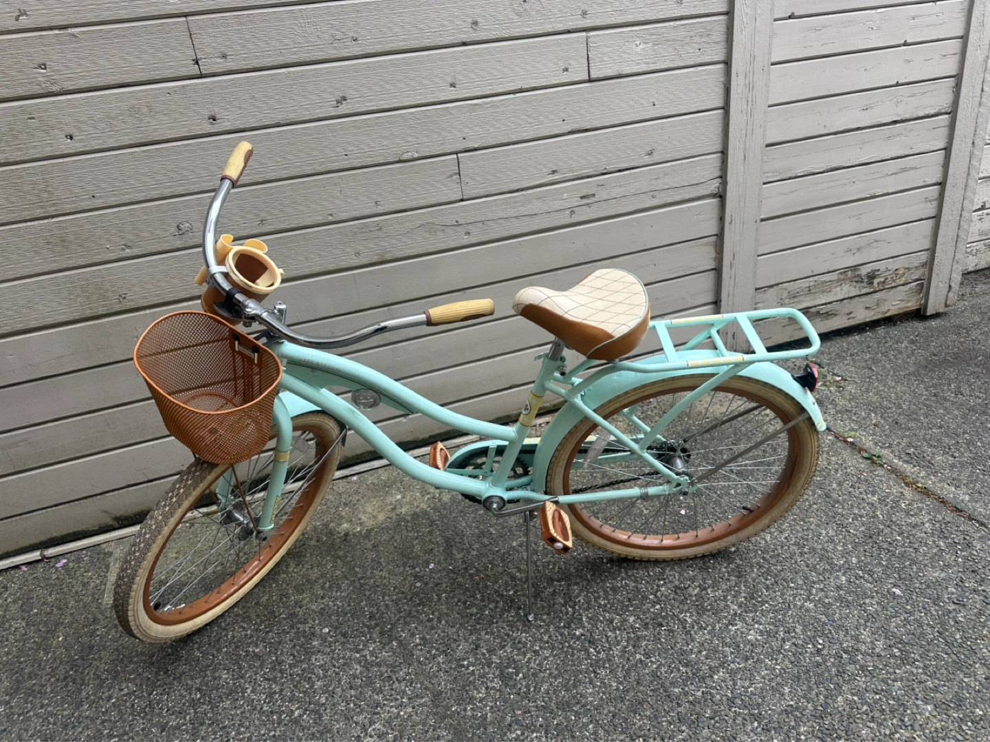 Cruise bicycle