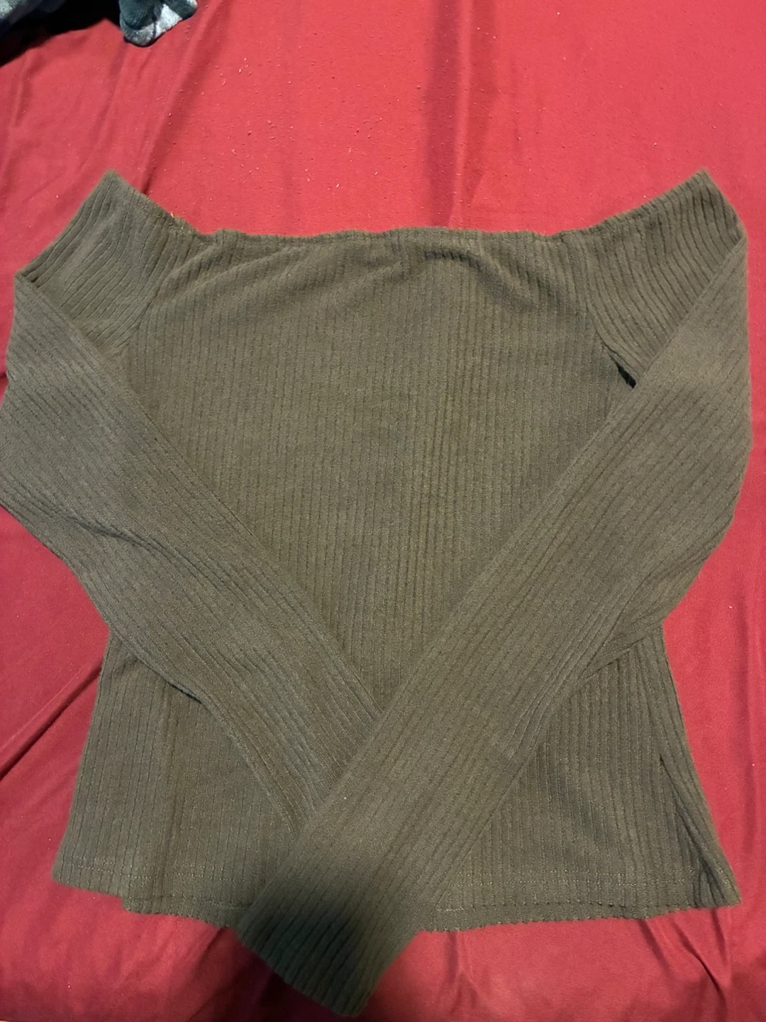 Brown  Off-the-Shoulder Long Sleeve Top