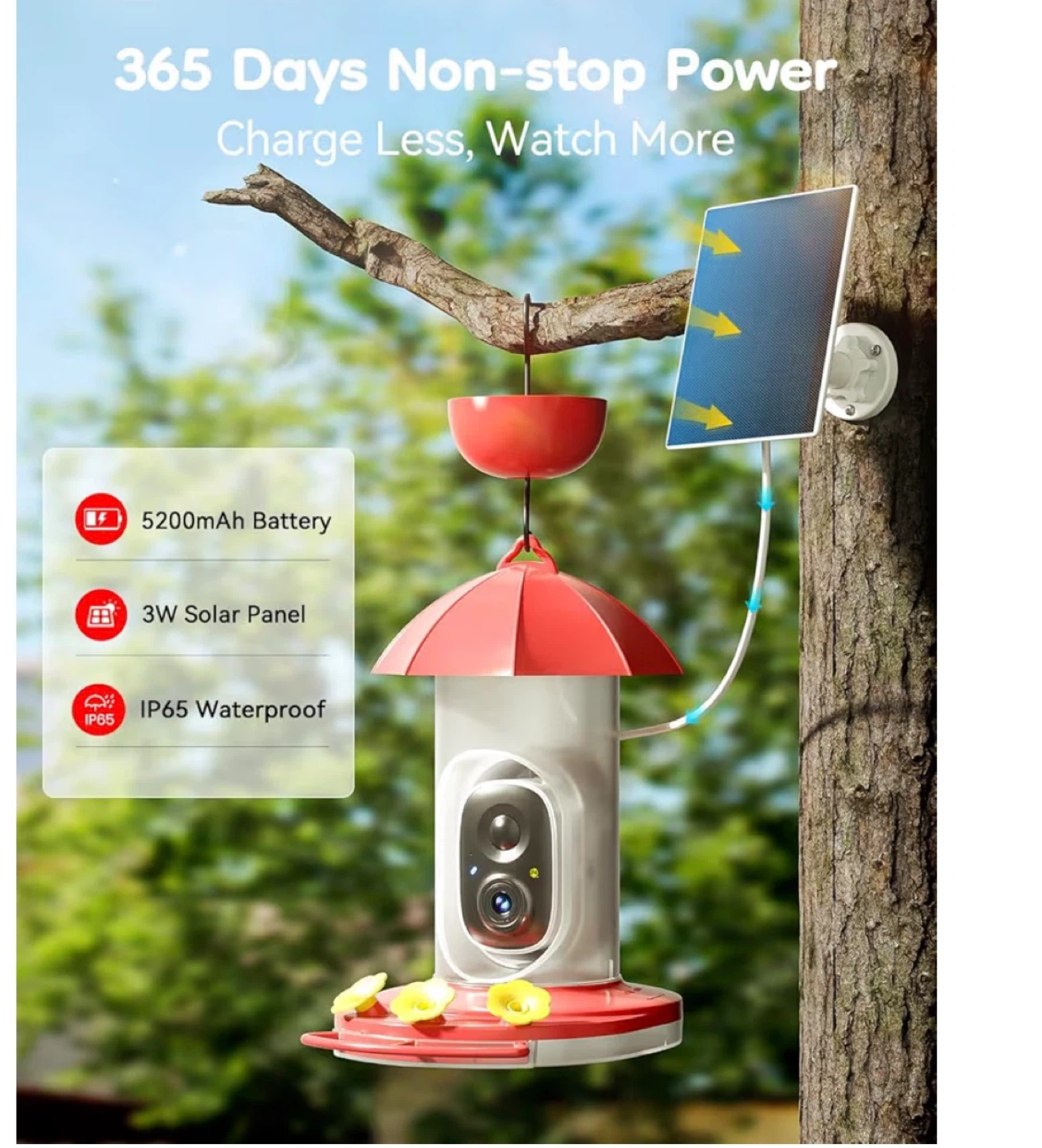 VicoHome Smart Hummingbird Feeder Camera