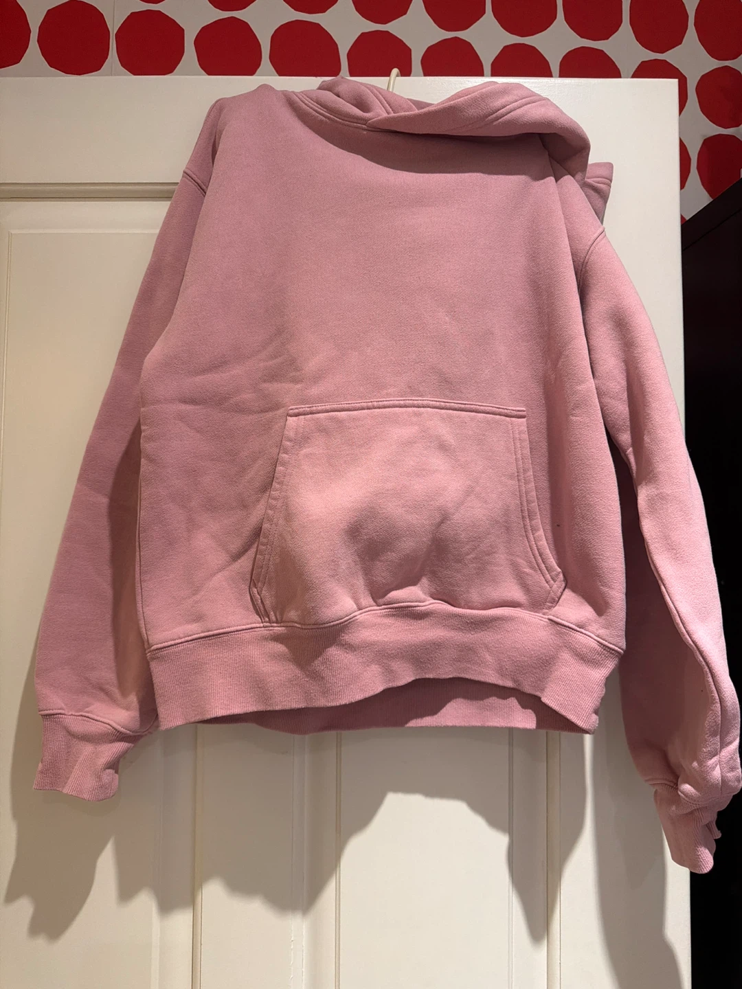 Brand new Aritzia Hoodie