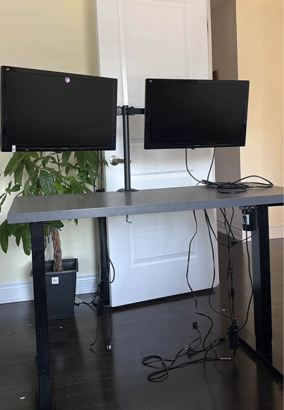 Adjustable Standing Desk with Dual Monitor Mount - photo 2