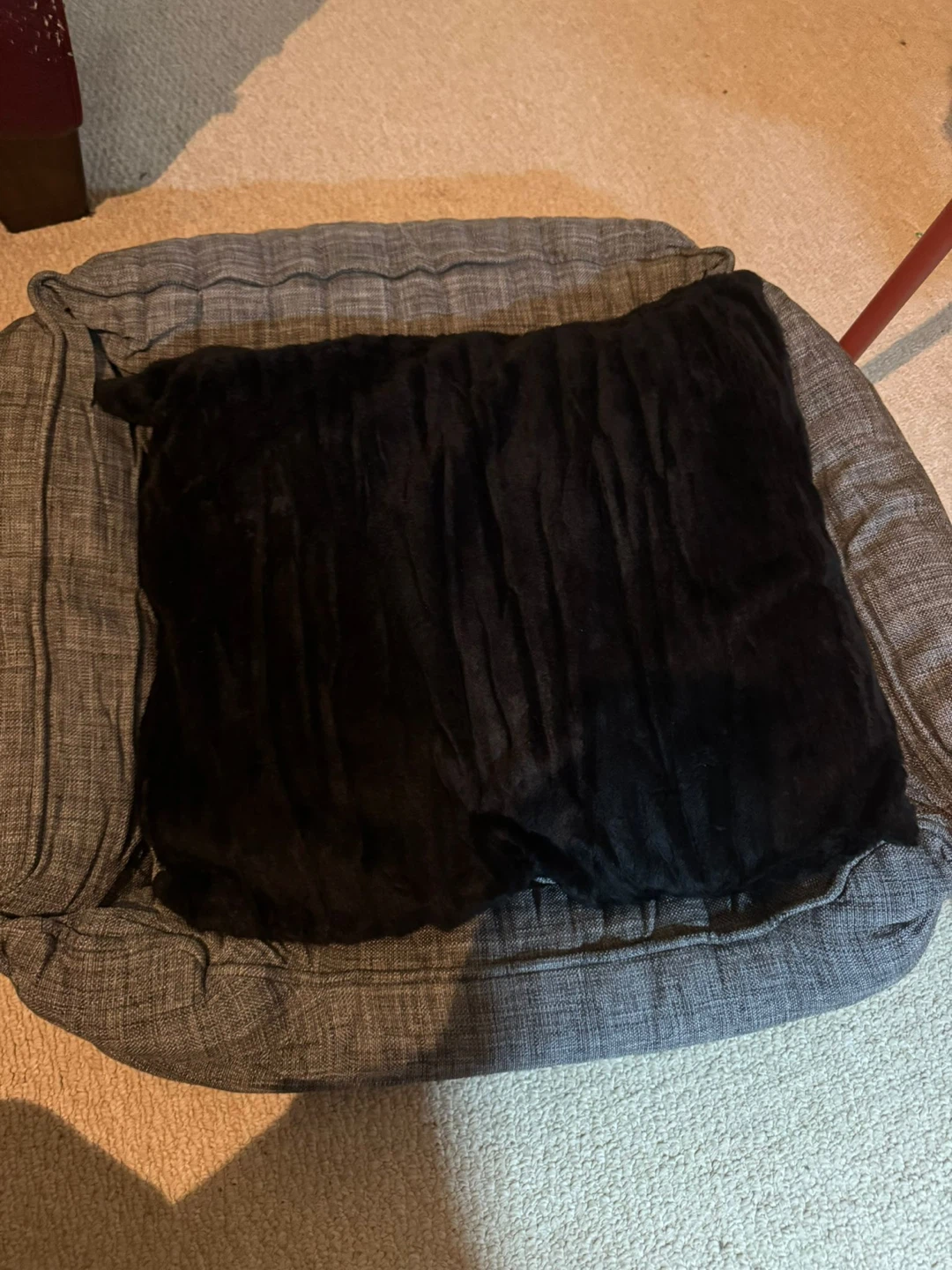 Brand new cat & dog bed – never used. 🐾 - photo 2