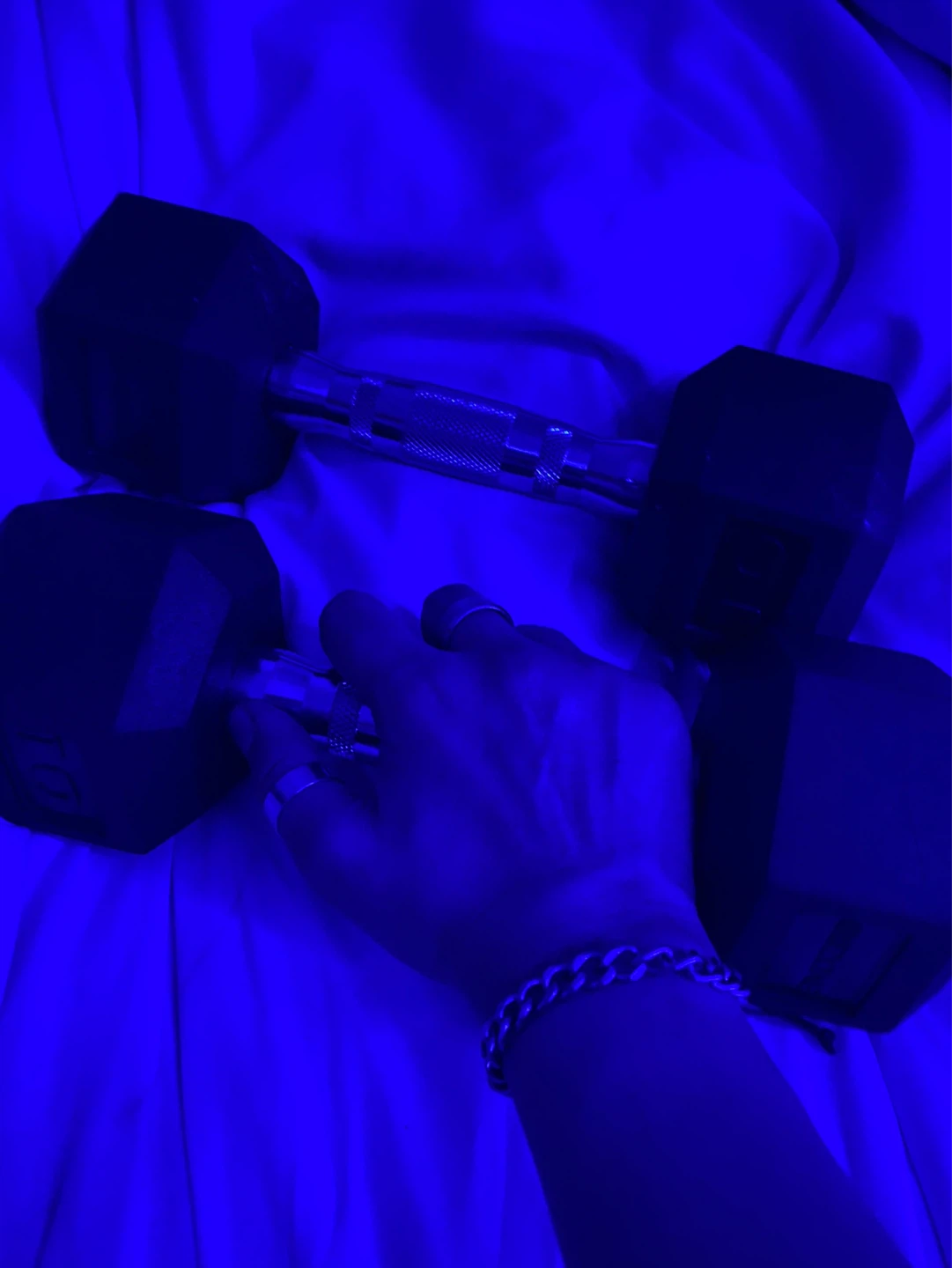 10 lb Dumbbells (Pair)