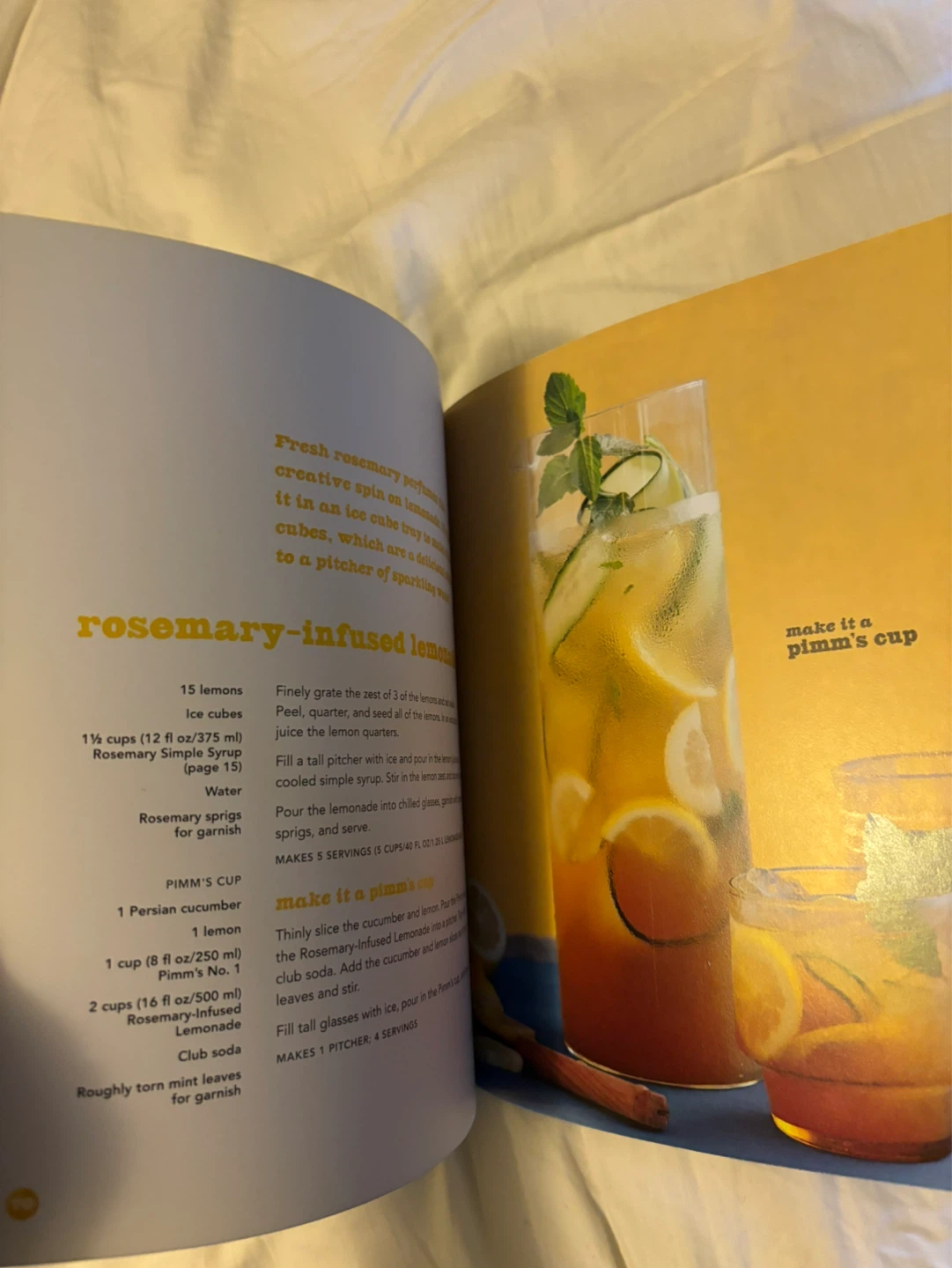 Raw Energy In A Glass Cookbook - photo 5