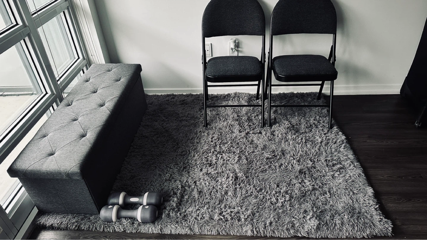 Living room rug ( Move out sale)