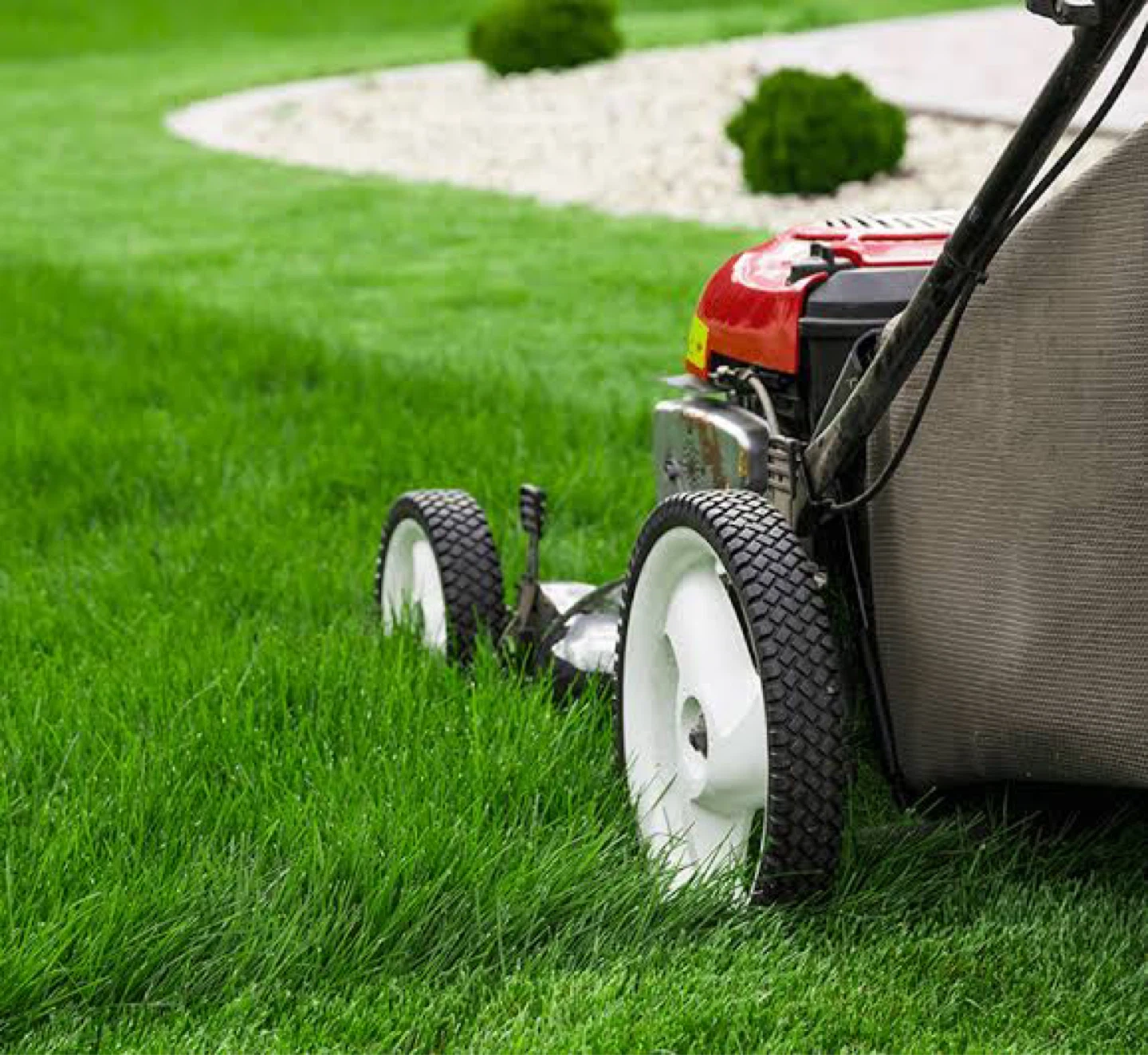 *🌱 Local Teen Lawn Mowing – Affordable & Reliable*