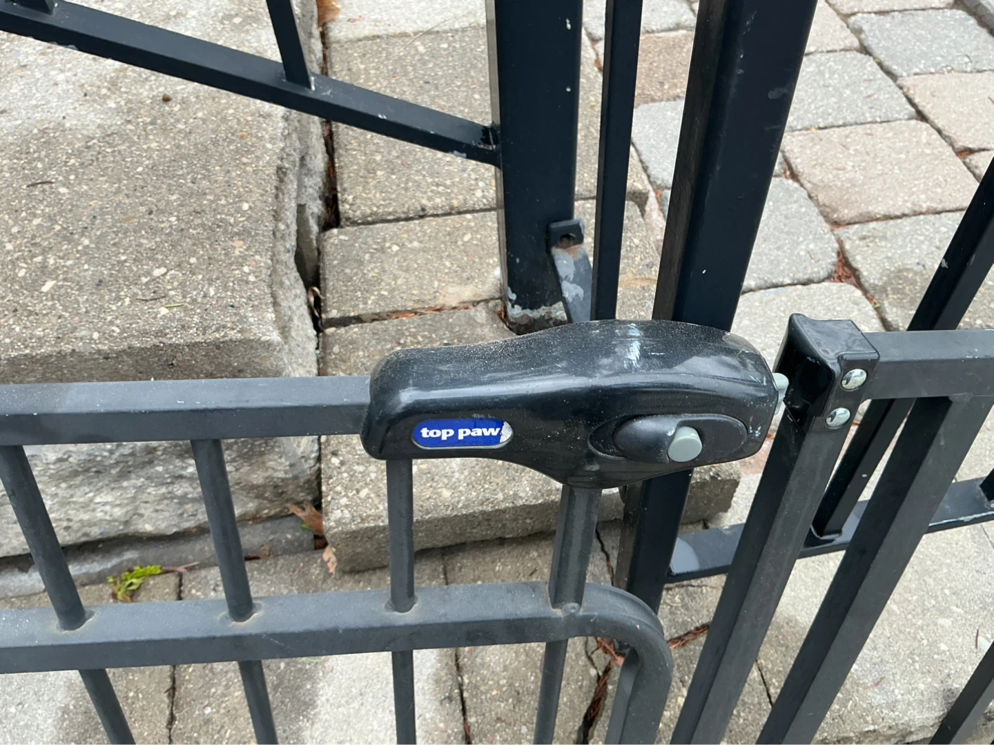 Safety 1st and Top Paw Baby Gates
