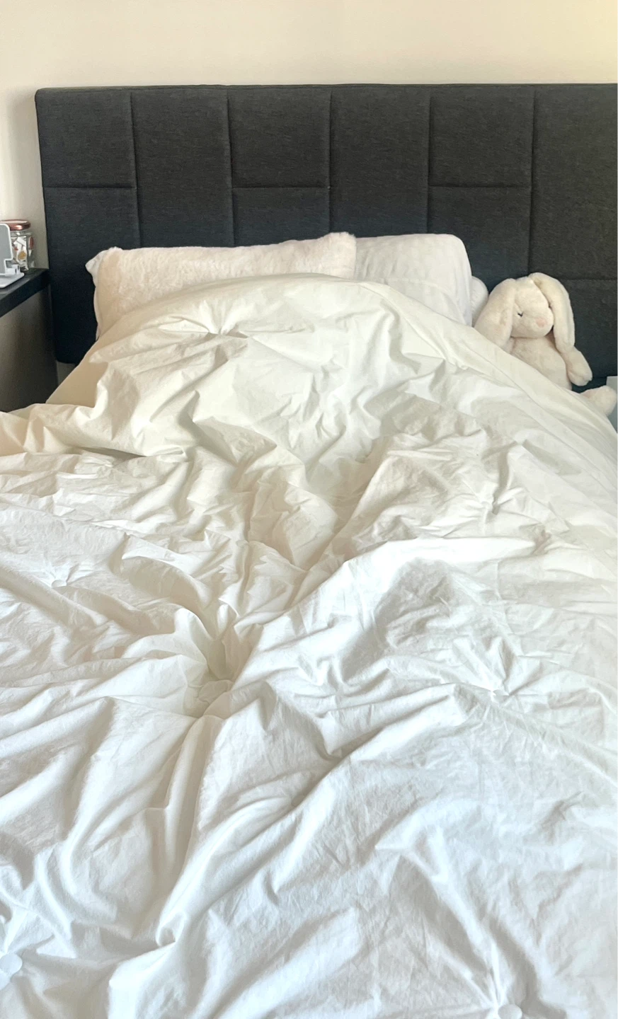 Storage Twin Bed Frame + Mattress