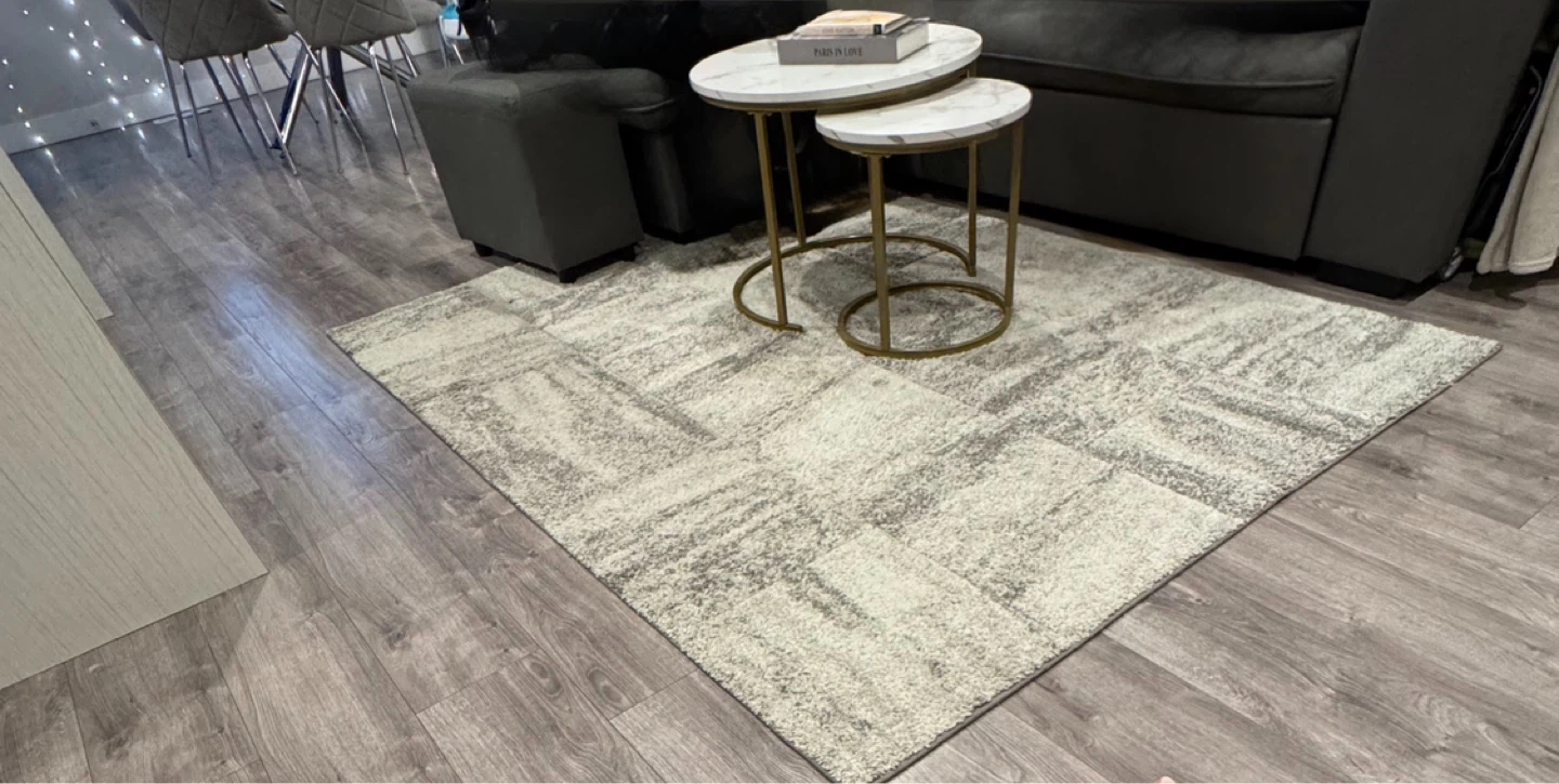 5x7 Grey Area Rug – Freshly Deep Cleaned - photo 2