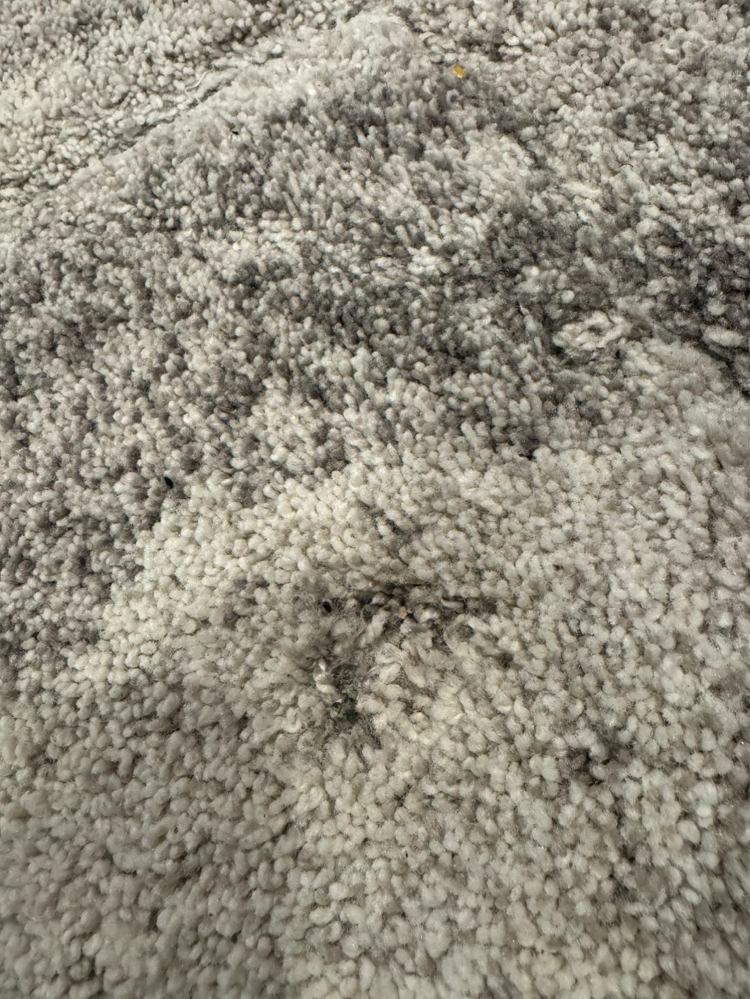 5x7 Grey Area Rug – Freshly Deep Cleaned - photo 5