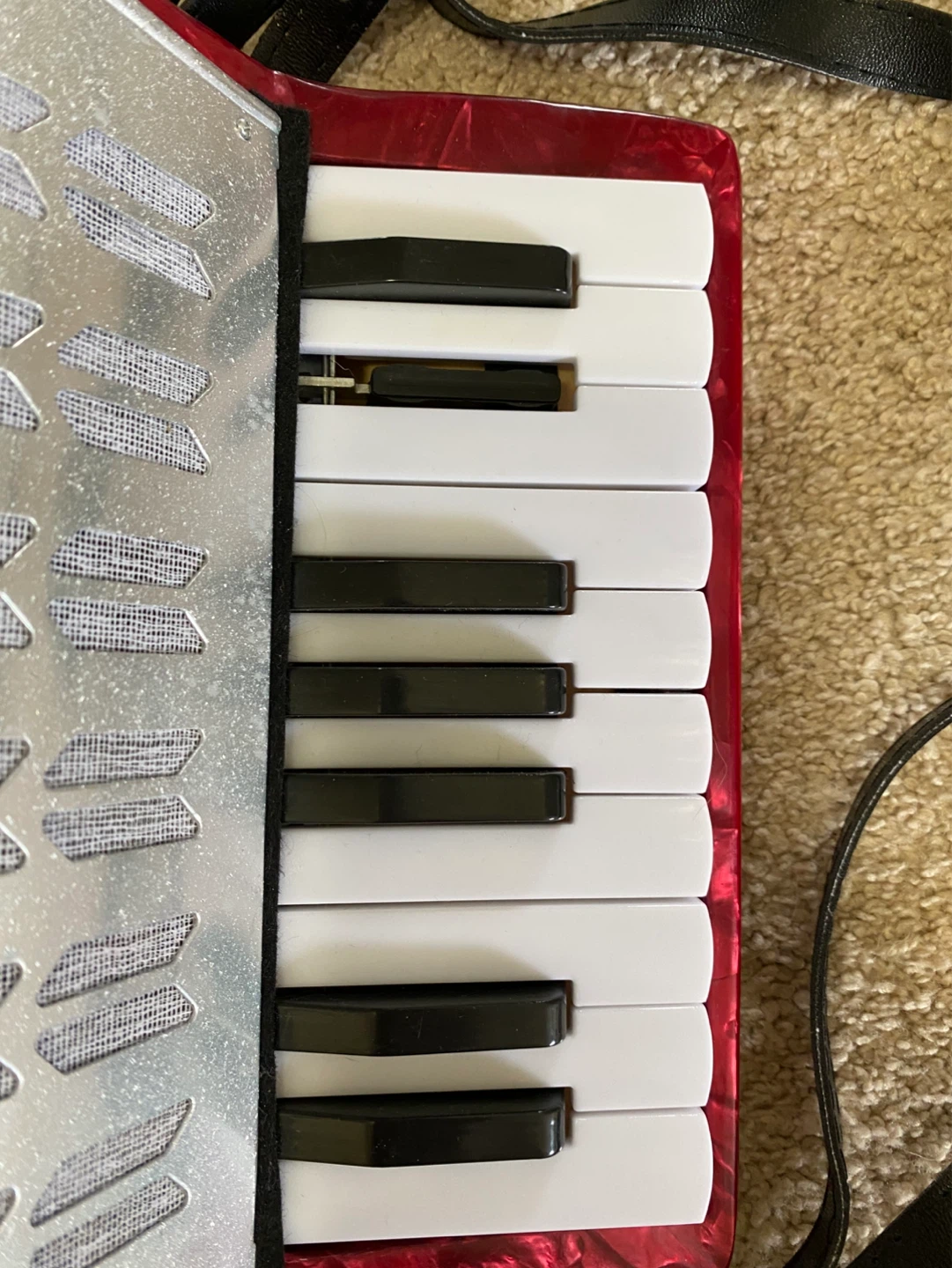 Accordion - photo 2