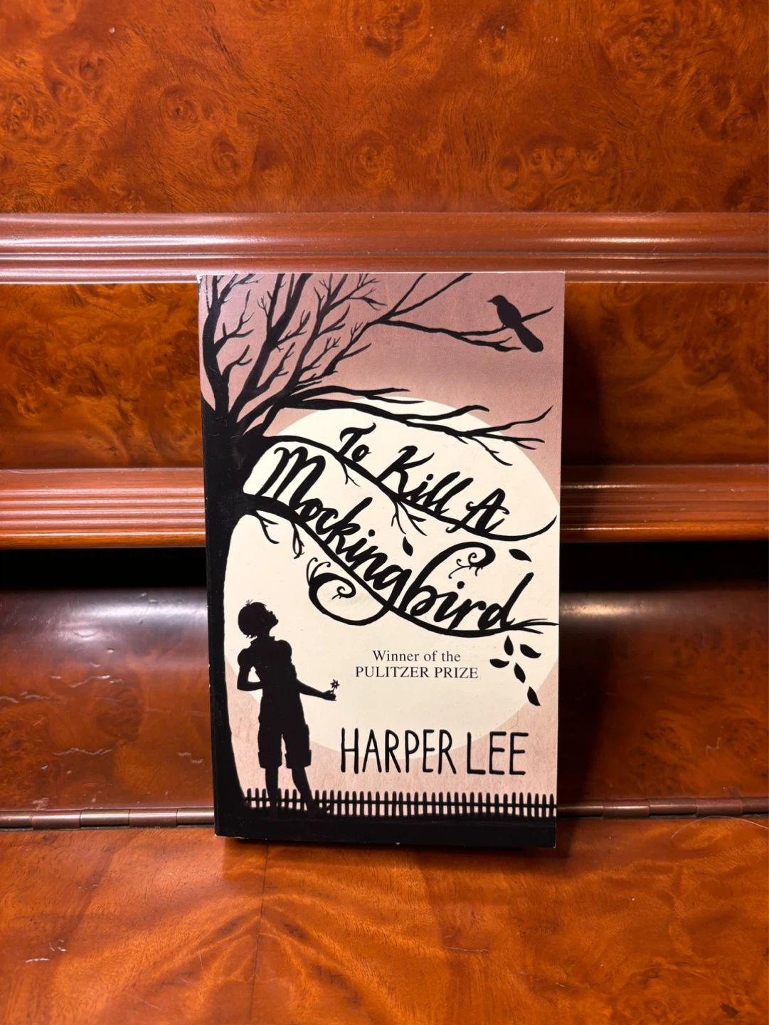 To Kill a Mockingbird – Harper Lee