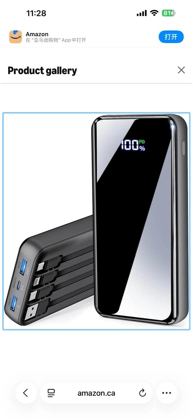 Portable Power Bank