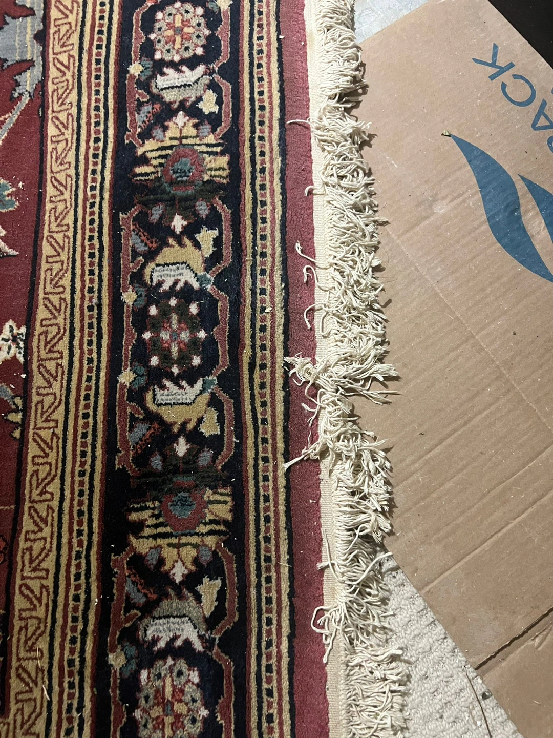 Area Rug with Traditional Pattern