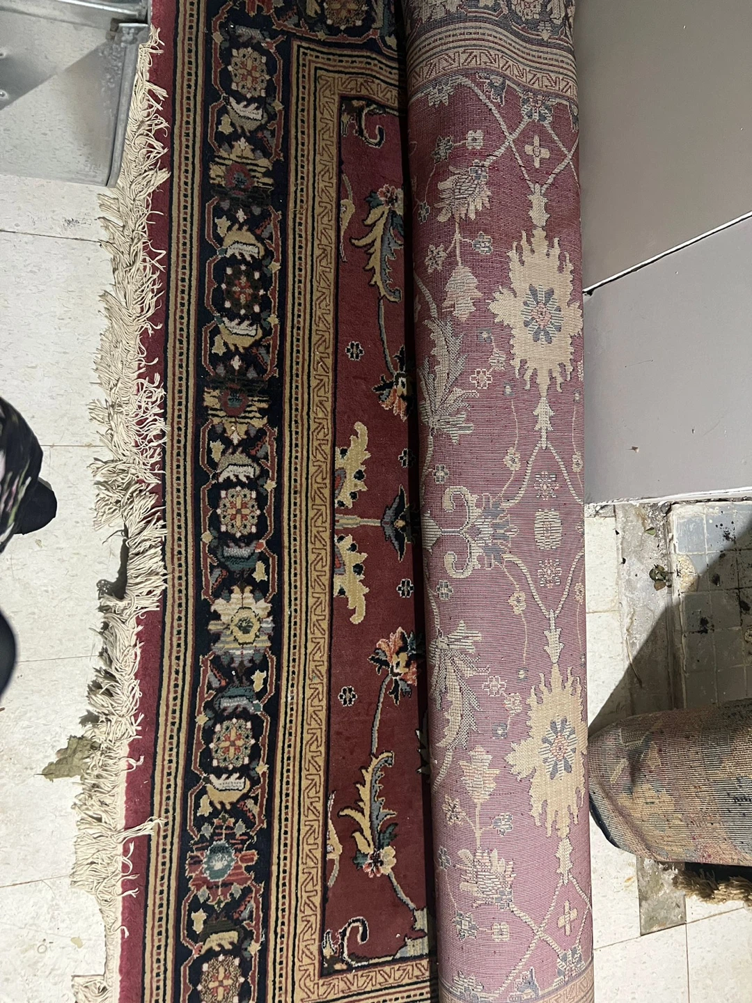Area Rug with Traditional Pattern - photo 3
