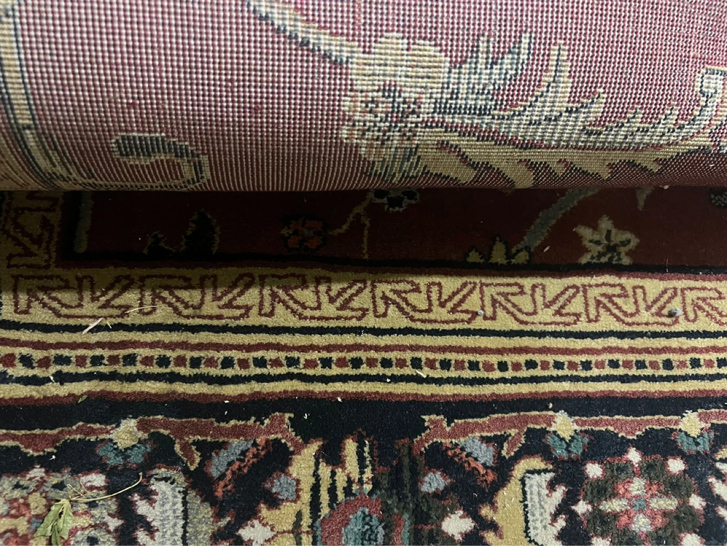 Area Rug with Traditional Pattern - photo 4