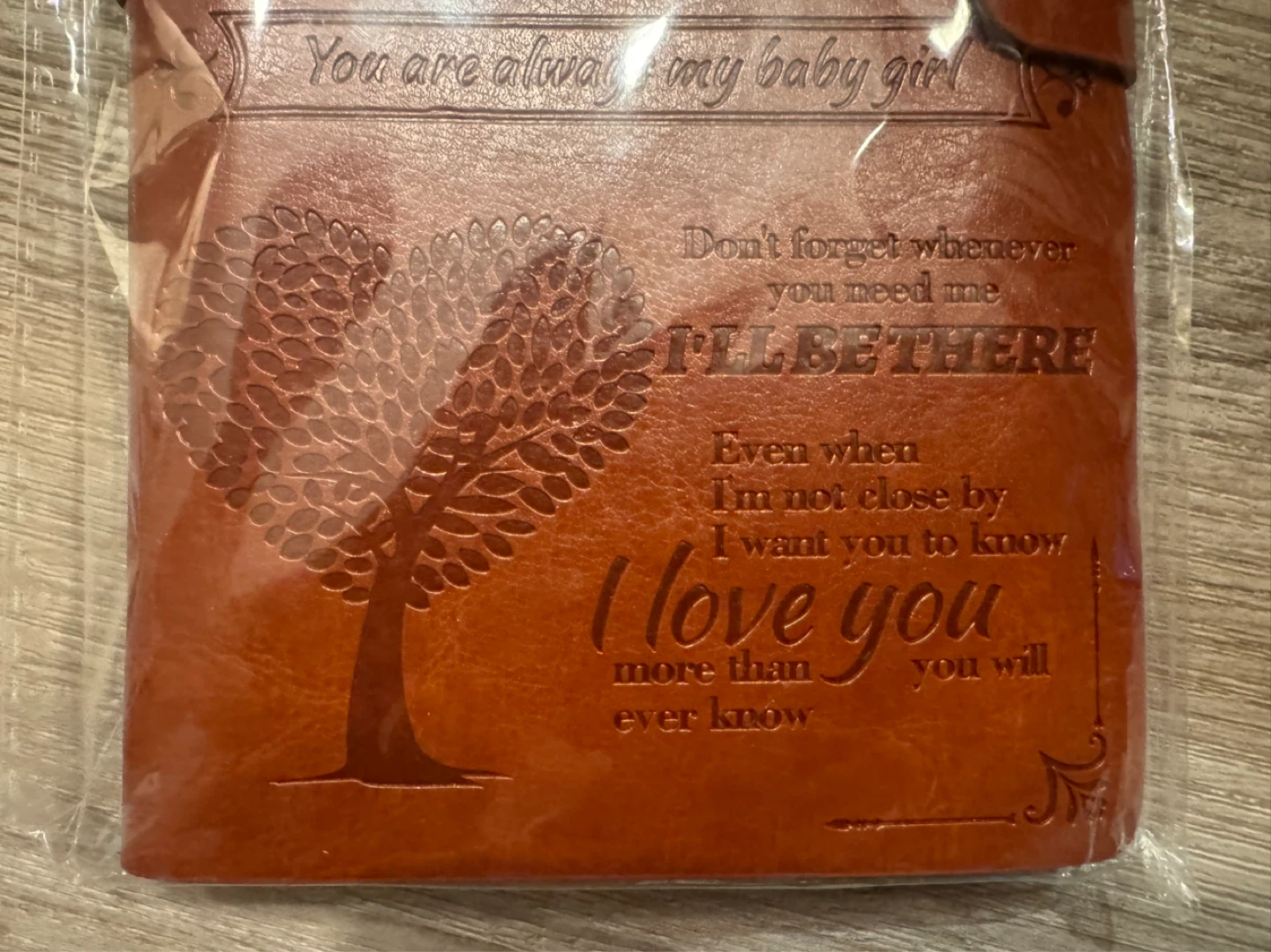 Inspirational Journal for Daughter - photo 3