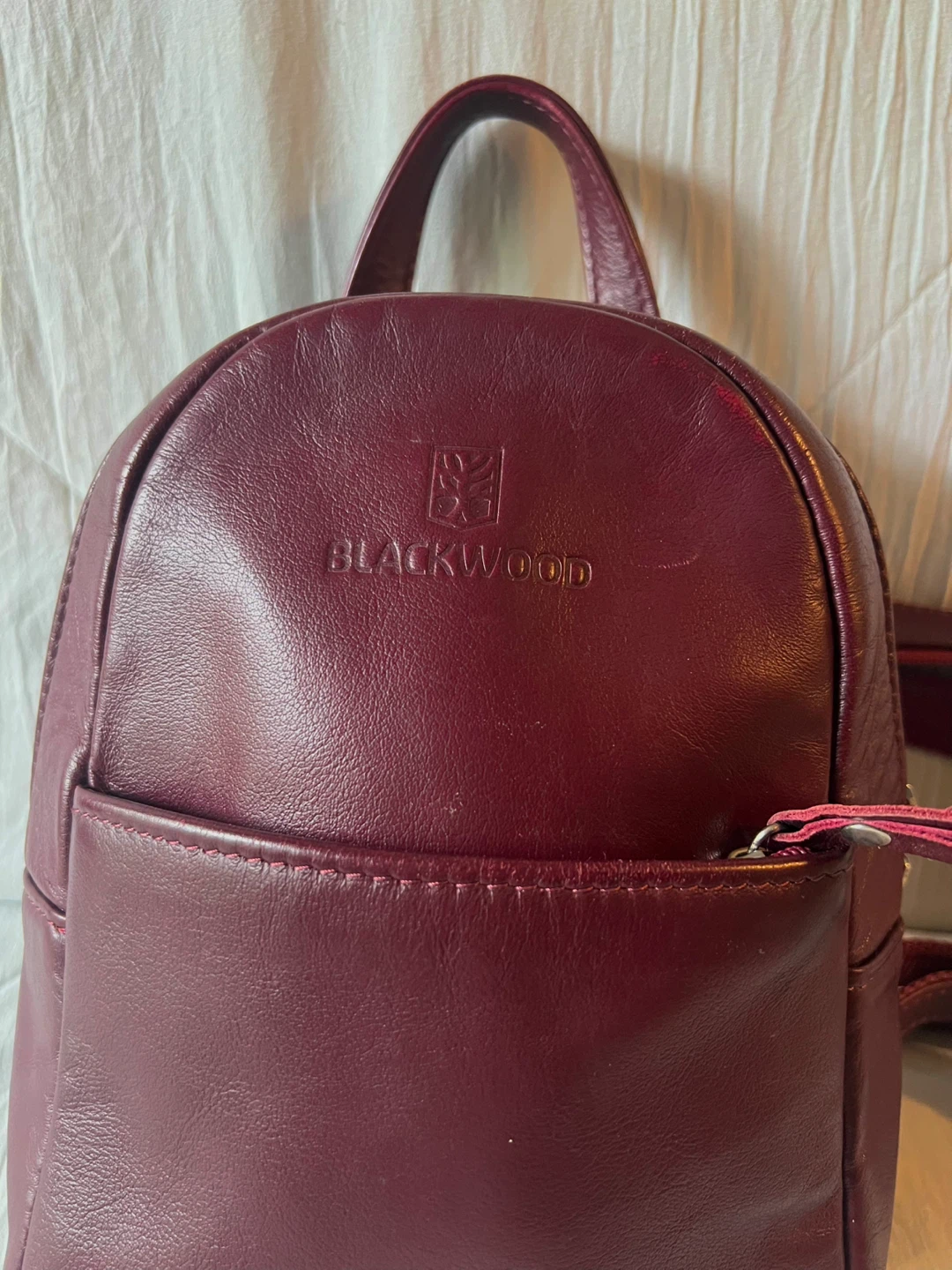 Blackwood Burgundy Genuine Leather Mini Backpack