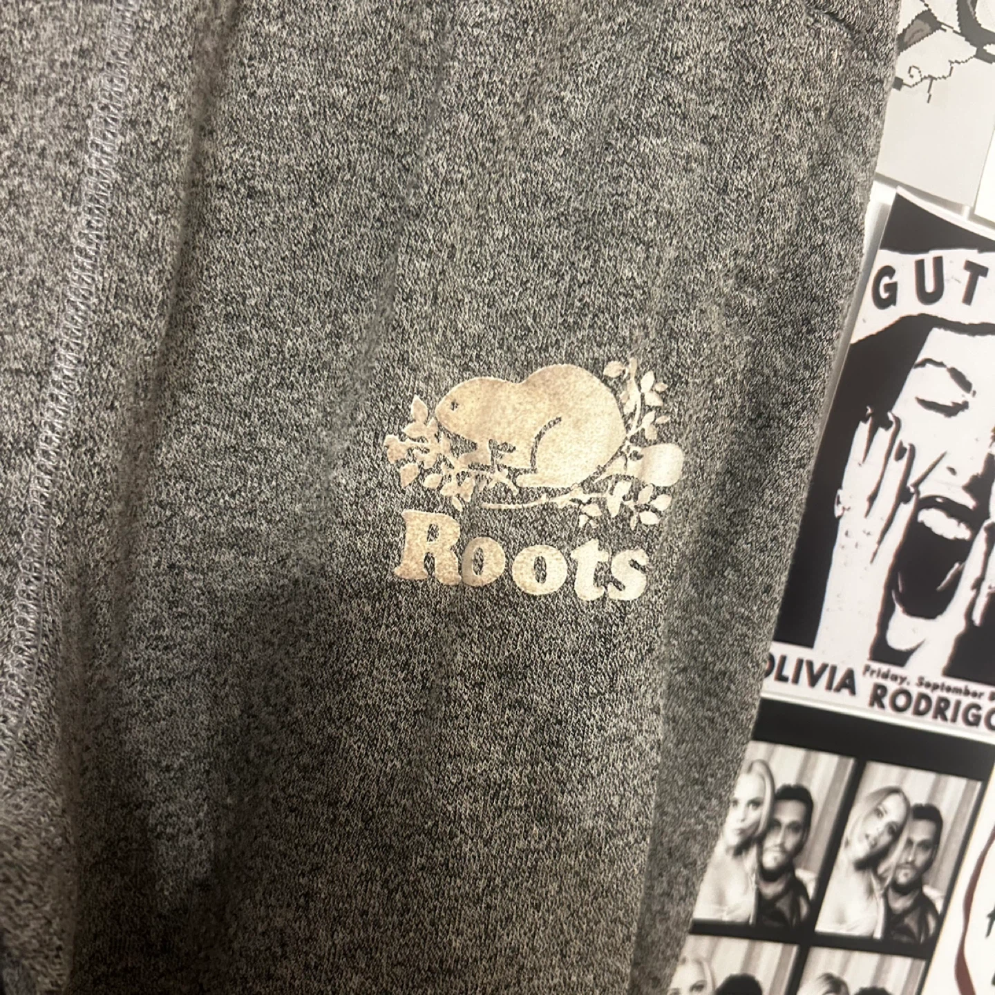 Roots Salt and Pepper Sweatpants - photo 2