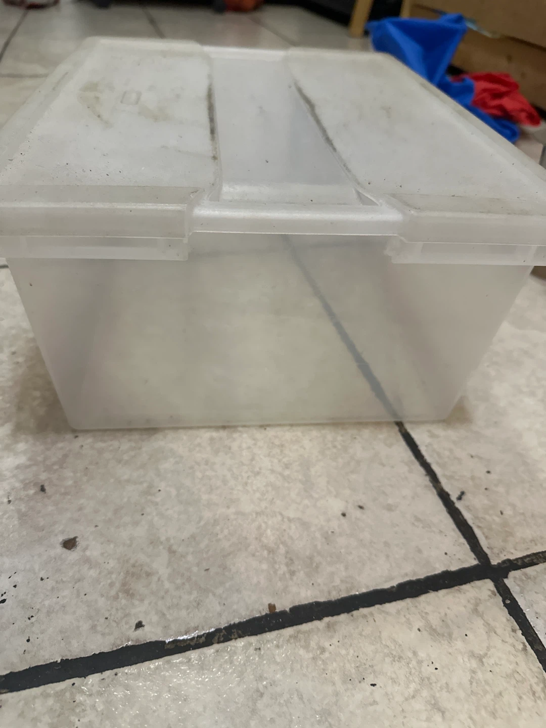 Clear Plastic Storage Bin - photo 2