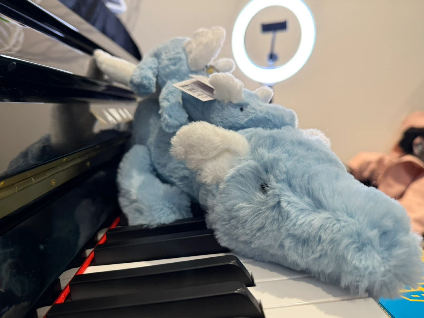 BNWT - Jellycat Sky Dragon with original Jellycat dust bag