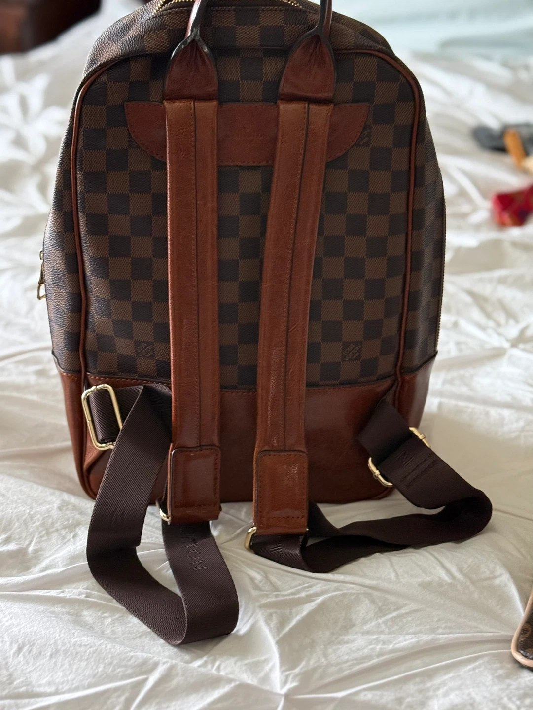 Louis Vuitton Damier Ebene Canvas Backpack - photo 3