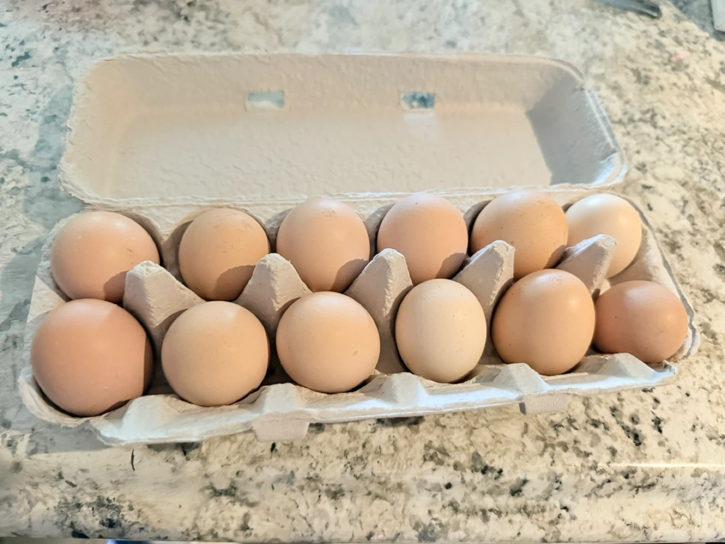 Farm Fresh Brown Eggs - Dozen