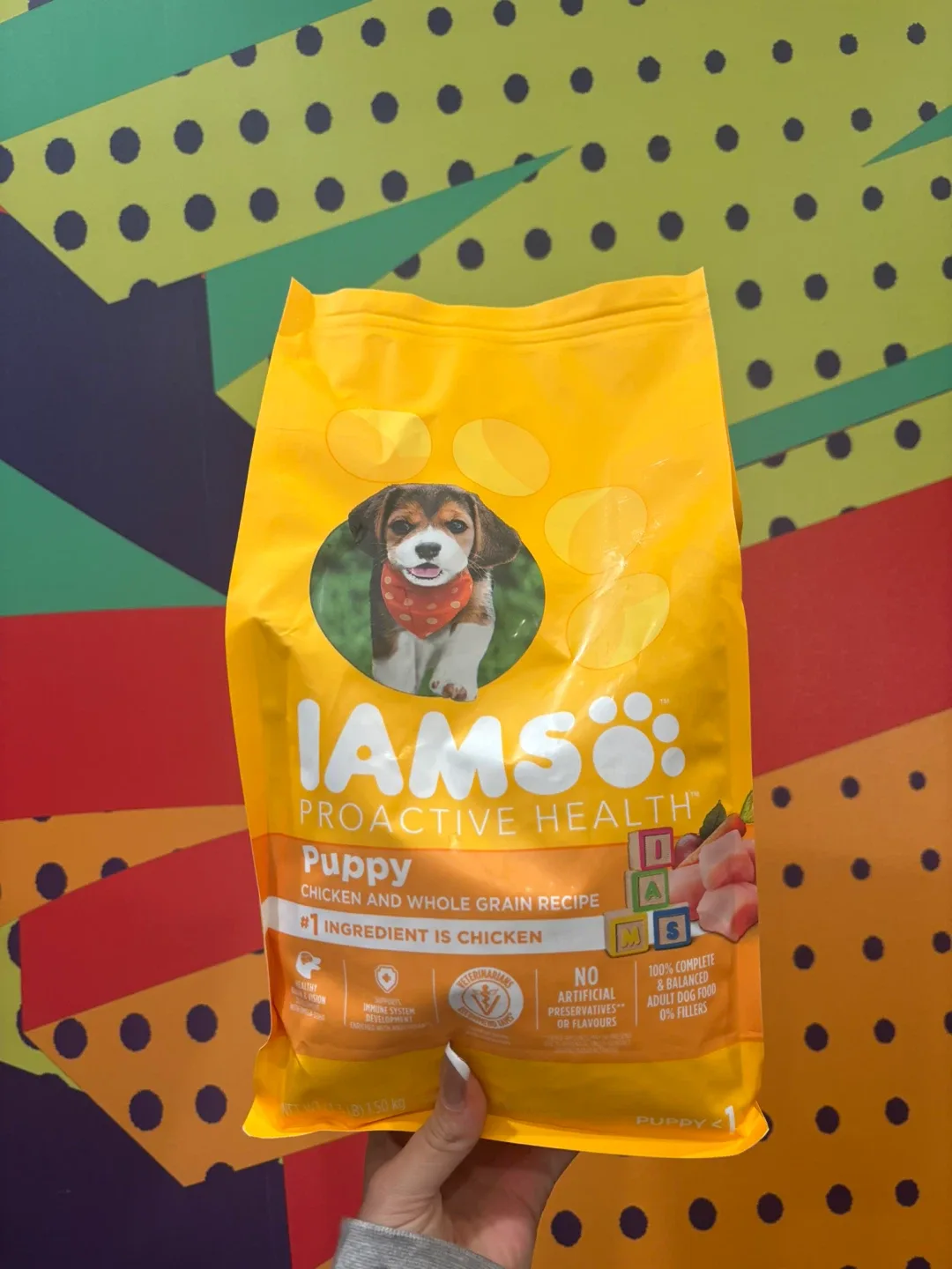 Brand new dog food Iams