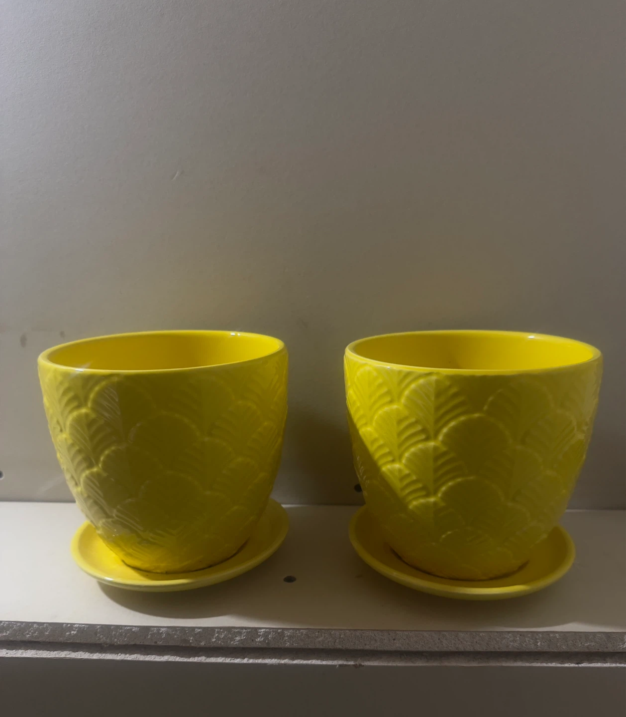 Set of 2 Yellow Ceramic Planters with Saucers