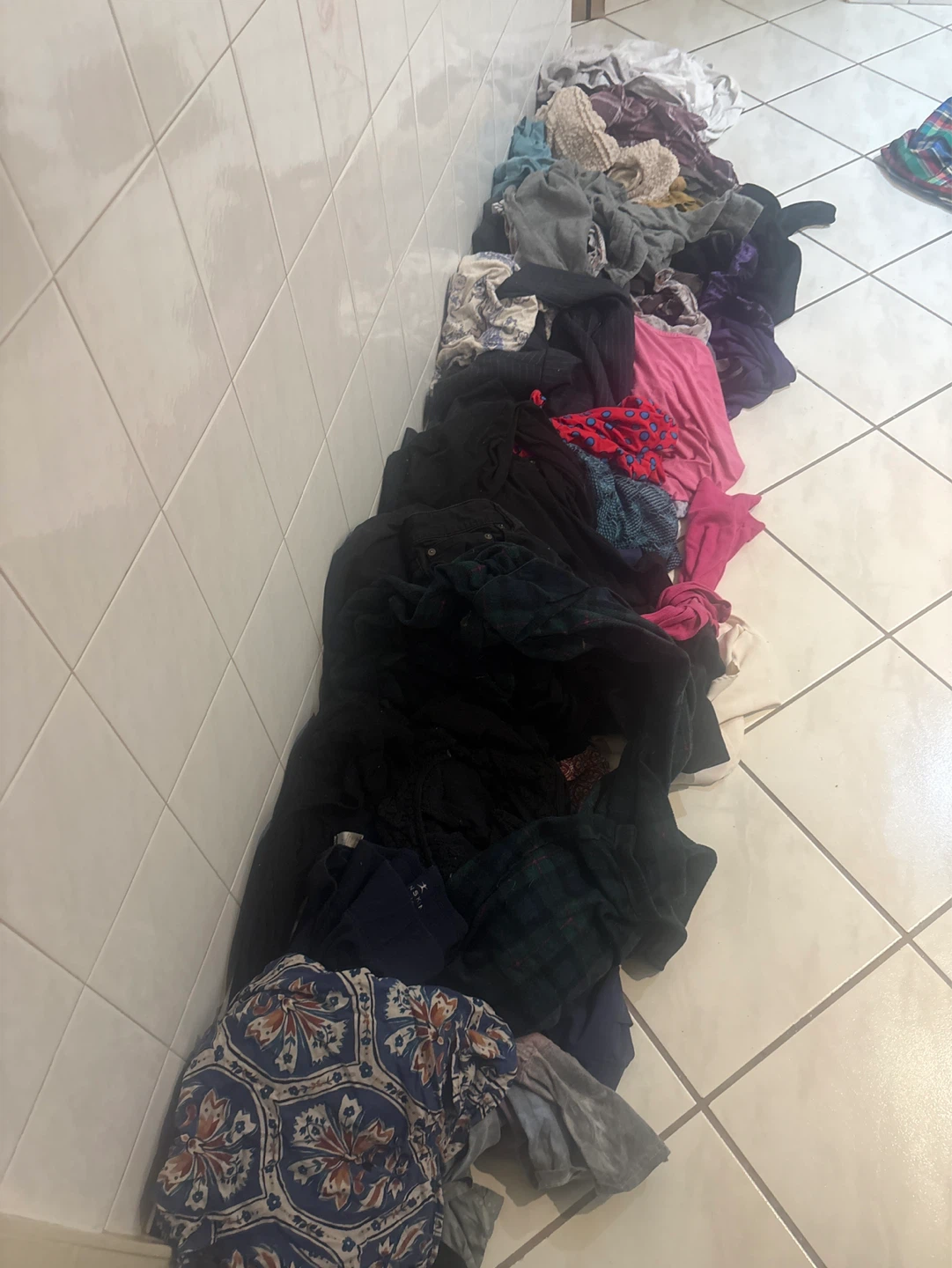 Assorted Women's Clothing Bundle