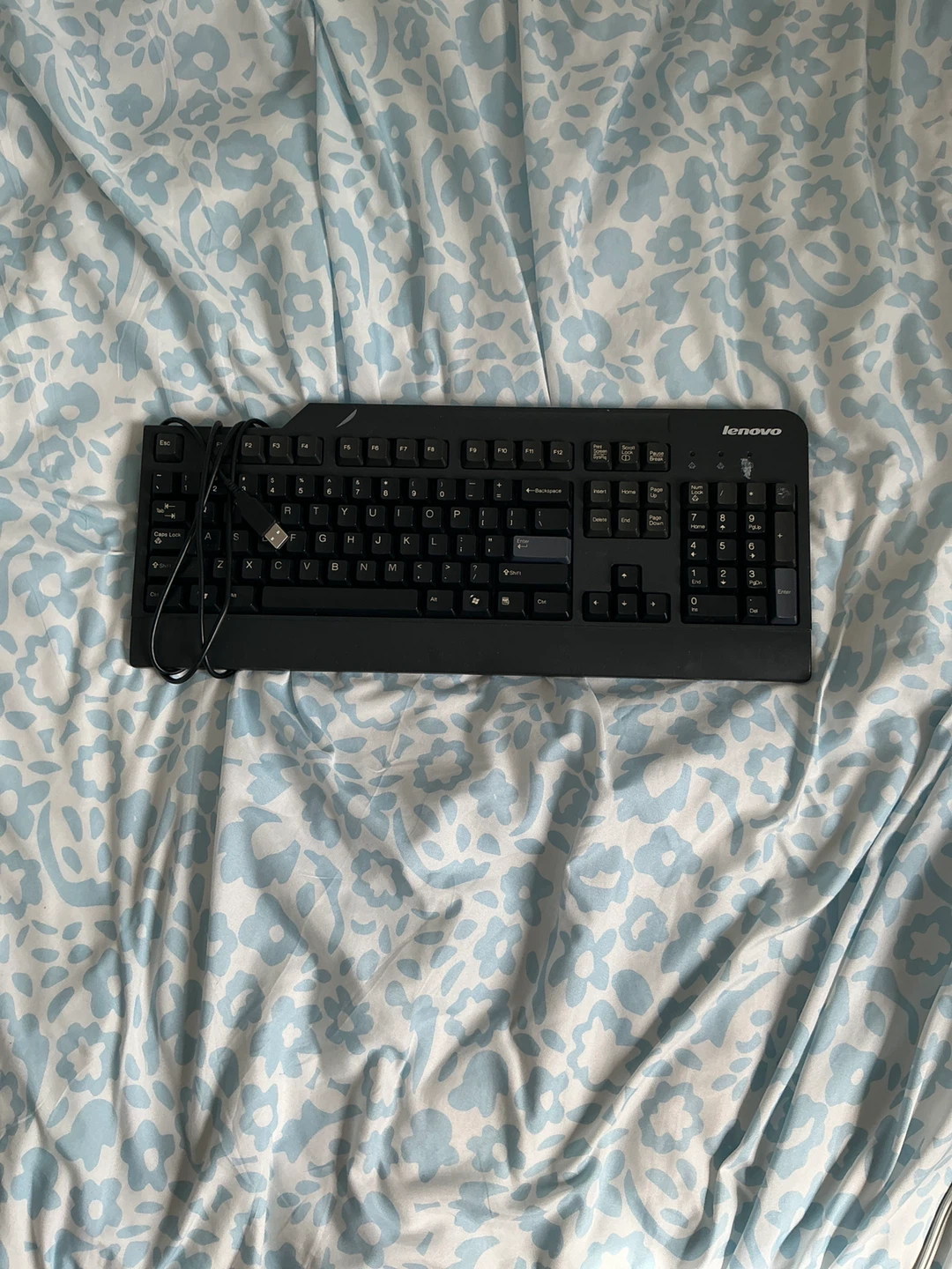 Lenovo KU-0225 Wired USB Keyboard