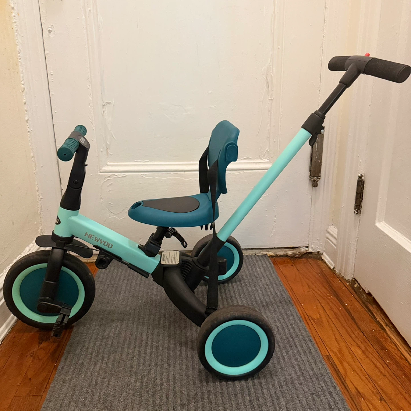 NEWYOO Convertible Baby Tricycle